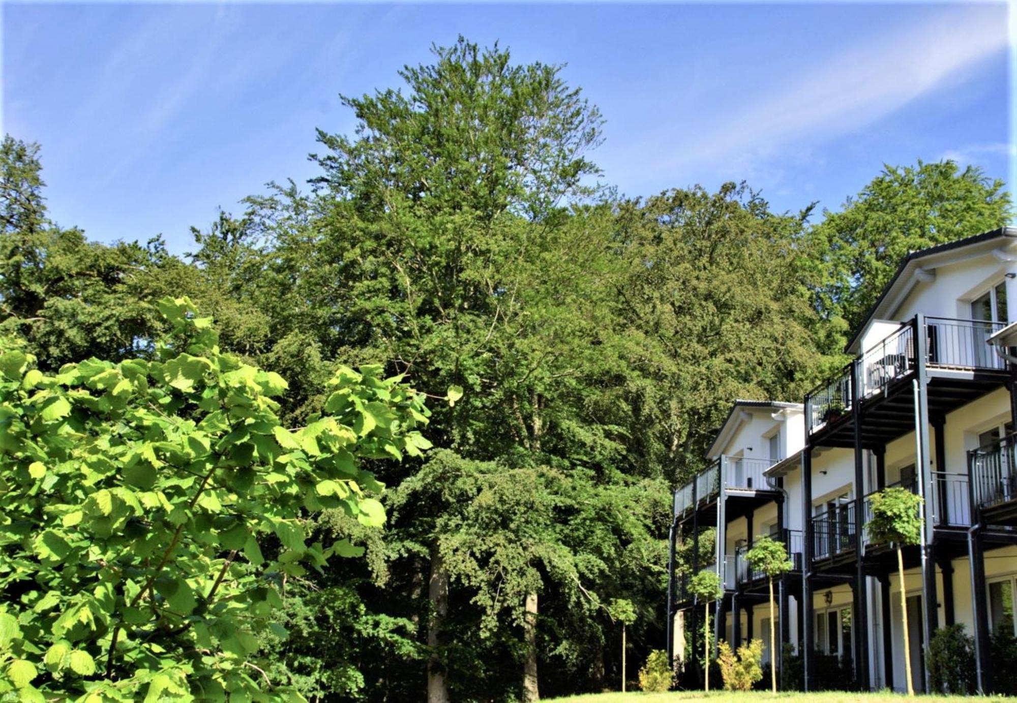 Ferienwohnung Waldperle Sellin (Rugen) Exterior foto
